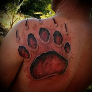 фото тату медвежья лапа от 30.09.2017 №023 - bear paw tattoo - tattoo-photo.ru
