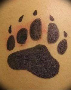 фото тату медвежья лапа от 30.09.2017 №048 - bear paw tattoo - tattoo-photo.ru