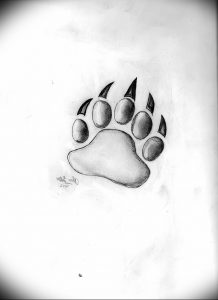 фото тату медвежья лапа от 30.09.2017 №071 - bear paw tattoo - tattoo-photo.ru 151223155 62342