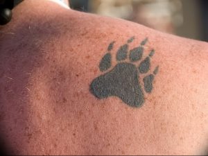 фото тату медвежья лапа от 30.09.2017 №074 - bear paw tattoo - tattoo-photo.ru