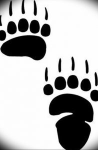 фото тату медвежья лапа от 30.09.2017 №088 - bear paw tattoo - tattoo-photo.ru