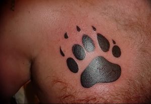 фото тату медвежья лапа от 30.09.2017 №094 - bear paw tattoo - tattoo-photo.ru