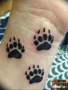 фото тату медвежья лапа от 30.09.2017 №107 - bear paw tattoo - tattoo-photo.ru