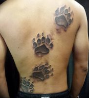 фото тату медвежья лапа от 30.09.2017 №112 — bear paw tattoo — tattoo-photo.ru 1415123 135123 135123 15123