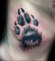 фото тату медвежья лапа от 30.09.2017 №119 — bear paw tattoo — tattoo-photo.ru