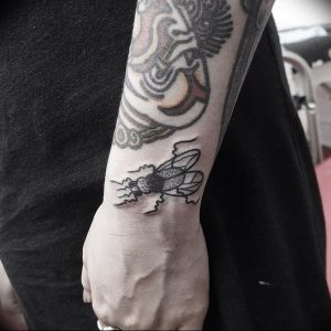 фото тату муха от 22.09.2017 №002 - Fly Tattoo - tattoo-photo.ru