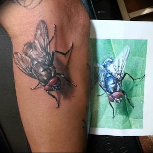 фото тату муха от 22.09.2017 №003 - Fly Tattoo - tattoo-photo.ru