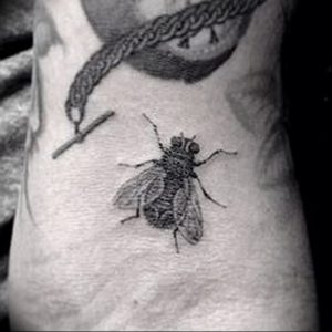 фото тату муха от 22.09.2017 №004 - Fly Tattoo - tattoo-photo.ru