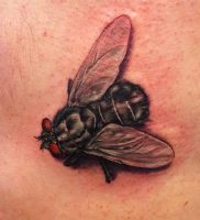 фото тату муха от 22.09.2017 №008 — Fly Tattoo — tattoo-photo.ru