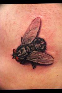 фото тату муха от 22.09.2017 №008 - Fly Tattoo - tattoo-photo.ru