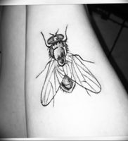 фото тату муха от 22.09.2017 №011 — Fly Tattoo — tattoo-photo.ru