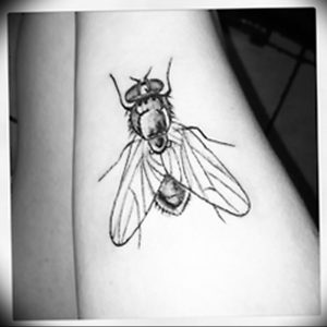 фото тату муха от 22.09.2017 №011 - Fly Tattoo - tattoo-photo.ru