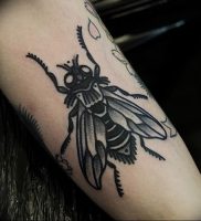фото тату муха от 22.09.2017 №012 — Fly Tattoo — tattoo-photo.ru