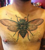 фото тату муха от 22.09.2017 №018 — Fly Tattoo — tattoo-photo.ru