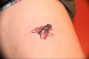 фото тату муха от 22.09.2017 №021 - Fly Tattoo - tattoo-photo.ru