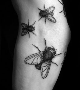 фото тату муха от 22.09.2017 №025 - Fly Tattoo - tattoo-photo.ru
