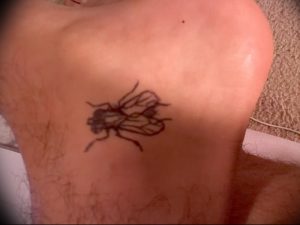 фото тату муха от 22.09.2017 №026 - Fly Tattoo - tattoo-photo.ru