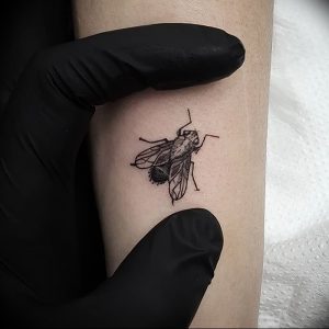 фото тату муха от 22.09.2017 №033 - Fly Tattoo - tattoo-photo.ru