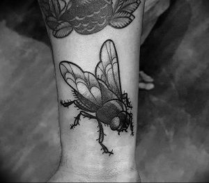 фото тату муха от 22.09.2017 №043 - Fly Tattoo - tattoo-photo.ru