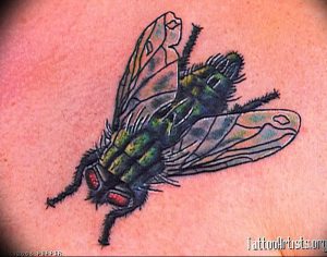 фото тату муха от 22.09.2017 №046 - Fly Tattoo - tattoo-photo.ru