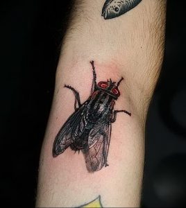 фото тату муха от 22.09.2017 №047 - Fly Tattoo - tattoo-photo.ru