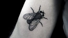 фото тату муха от 22.09.2017 №049 - Fly Tattoo - tattoo-photo.ru