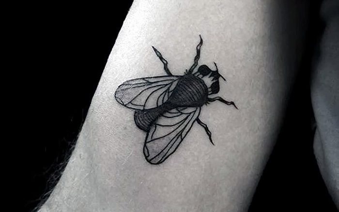 фото тату муха от 22.09.2017 №049 - Fly Tattoo - tattoo-photo.ru