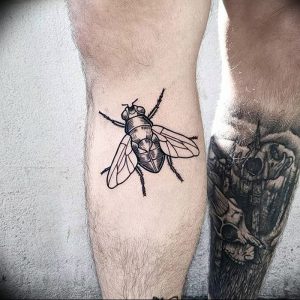фото тату муха от 22.09.2017 №050 - Fly Tattoo - tattoo-photo.ru
