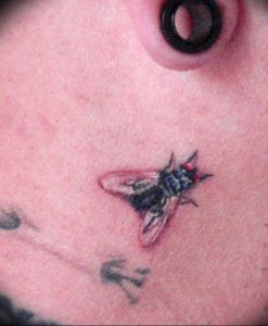 фото тату муха от 22.09.2017 №053 - Fly Tattoo - tattoo-photo.ru