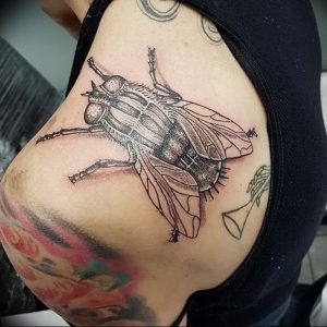фото тату муха от 22.09.2017 №054 - Fly Tattoo - tattoo-photo.ru