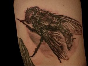 фото тату муха от 22.09.2017 №058 - Fly Tattoo - tattoo-photo.ru