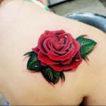 фото тату роза от 30.09.2017 №013 - rose tattoo - tattoo-photo.ru