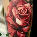 фото тату роза от 30.09.2017 №018 - rose tattoo - tattoo-photo.ru