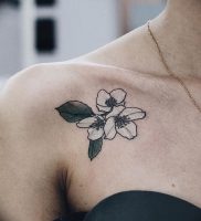 фото тату жасмин от 18.10.2017 №013 — tattoo jasmine — tattoo-photo.ru