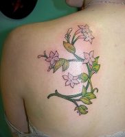 фото тату жасмин от 18.10.2017 №015 — tattoo jasmine — tattoo-photo.ru