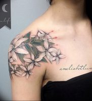 фото тату жасмин от 18.10.2017 №019 — tattoo jasmine — tattoo-photo.ru