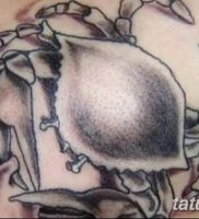 фото тату краб (рак) от 23.10.2017 №088 — tattoo crab (cancer) — tatufoto.com