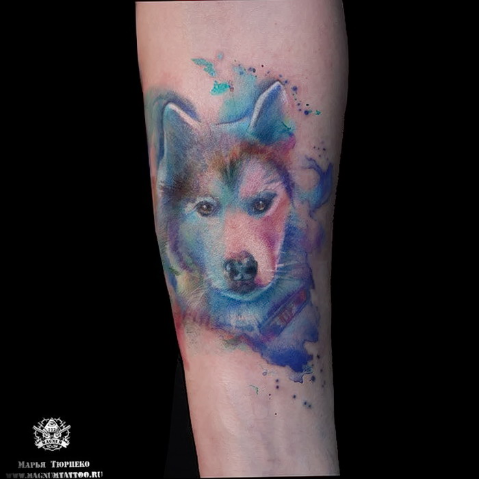 фото тату хаски от 07.10.2017 №012 - tatu husky - tattoo-photo.ru ...