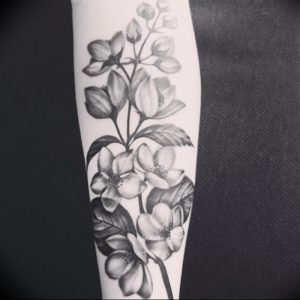фото тату жасмин от 18.10.2017 №008 - tattoo jasmine - tattoo-photo.ru