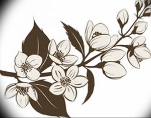фото тату жасмин от 18.10.2017 №043 - tattoo jasmine - tattoo-photo.ru