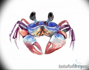 фото тату краб (рак) от 23.10.2017 №009 - tattoo crab (cancer) - tatufoto.com