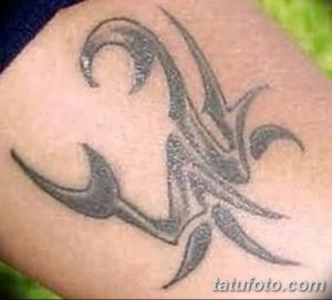 фото тату краб (рак) от 23.10.2017 №030 - tattoo crab (cancer) - tatufoto.com