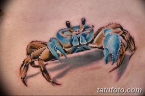 фото тату краб (рак) от 23.10.2017 №055 - tattoo crab (cancer) - tatufoto.com