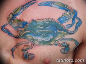 фото тату краб (рак) от 23.10.2017 №059 - tattoo crab (cancer) - tatufoto.com