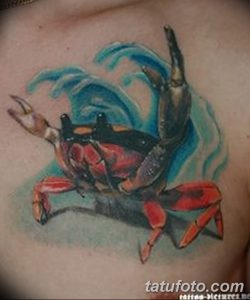 фото тату краб (рак) от 23.10.2017 №060 - tattoo crab (cancer) - tatufoto.com
