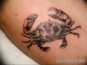 фото тату краб (рак) от 23.10.2017 №073 - tattoo crab (cancer) - tatufoto.com