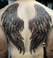 фото тату Крылья от 04.12.2017 №008 — Tattoo Wings — tattoo-photo.ru