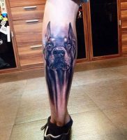 фото тату доберман от 21.11.2017 №005 — Doberman tattoo — tattoo-photo.ru