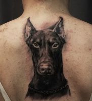 фото тату доберман от 21.11.2017 №110 — Doberman tattoo — tattoo-photo.ru
