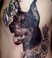 фото тату доберман от 21.11.2017 №117 — Doberman tattoo — tattoo-photo.ru